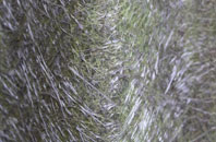 Ebbesbourne Wake fibreglass roof work